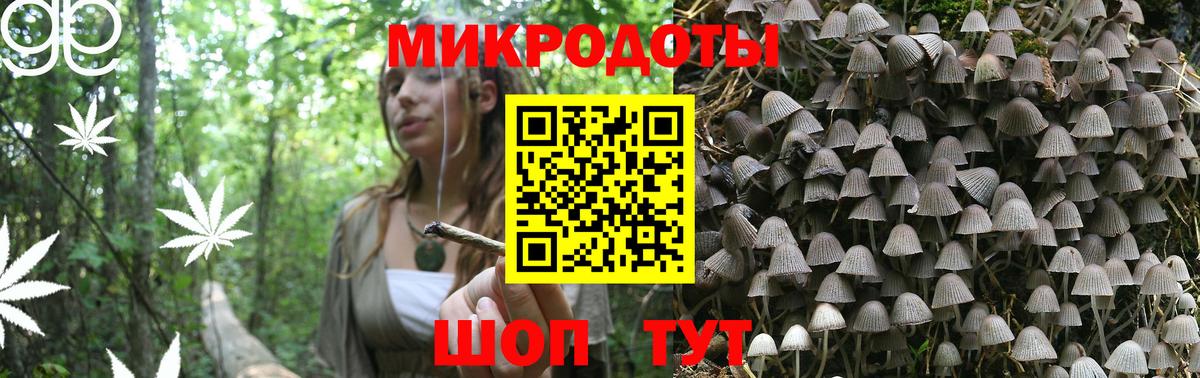 Джанкой  Галлюциногенные грибы Cubensis  закладки  Вход с VPN 